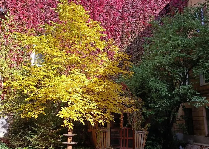 Zamarstynivska إلفيف